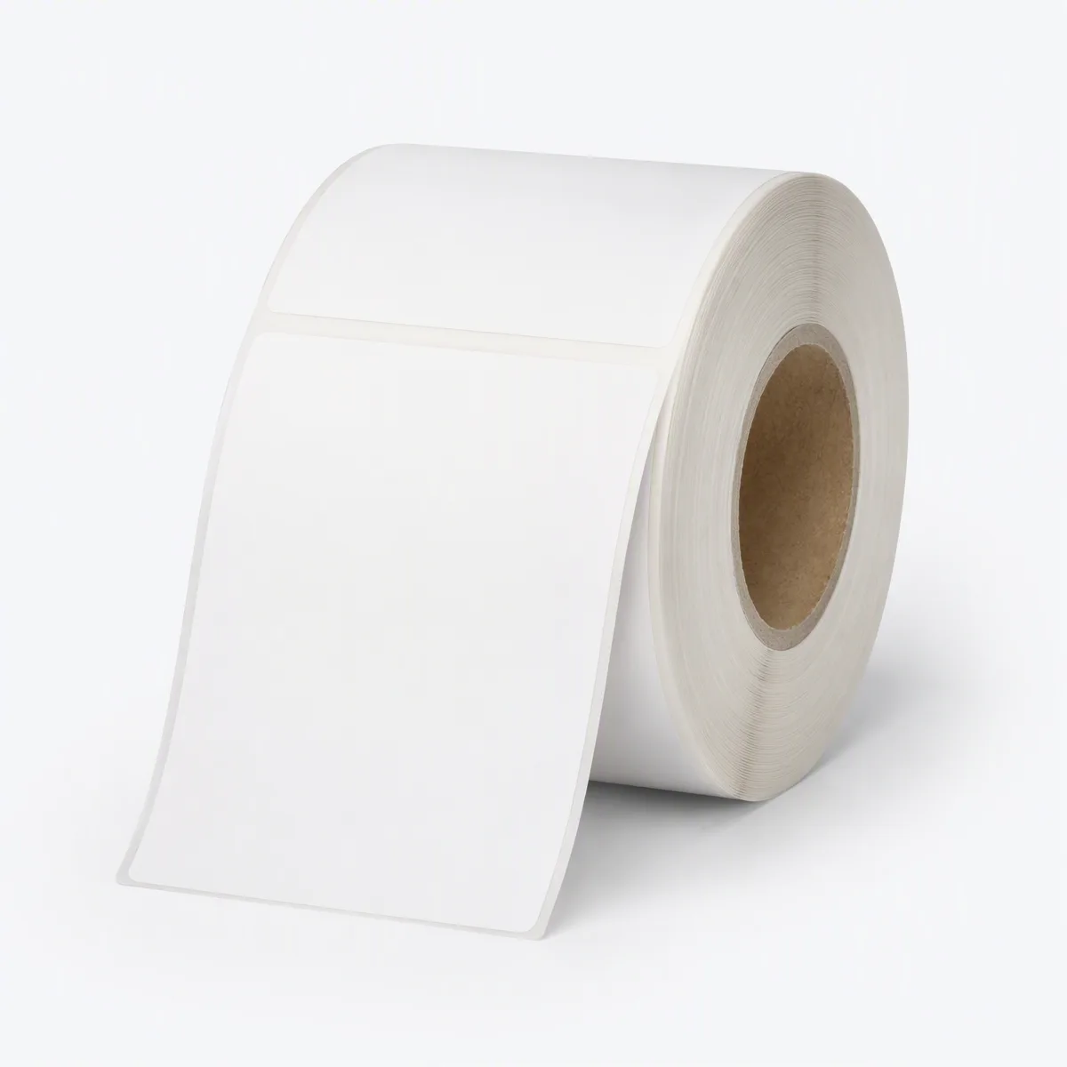 Thermal Labels 100x50mm 500 Roll — MedQ catalogue illustration